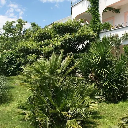 5534b * 德拉马利